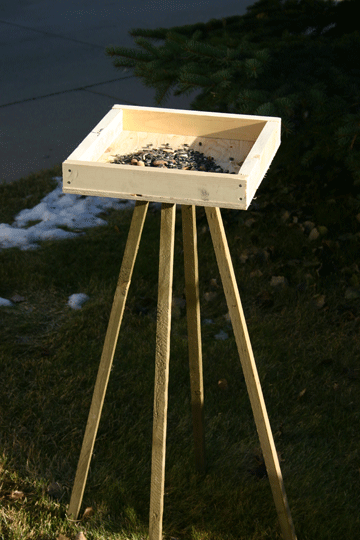 photo of bird feeder