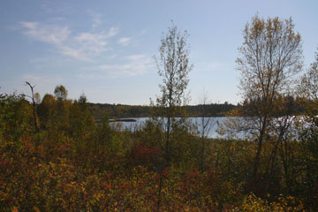 Image of view from Kristi Lake Nature Trail