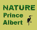 Nature Prince Albert Logo